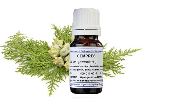 product_template_1758.jpeg