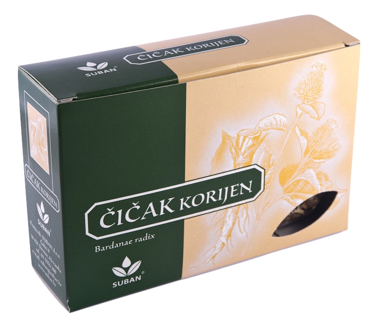 cicak_korijen