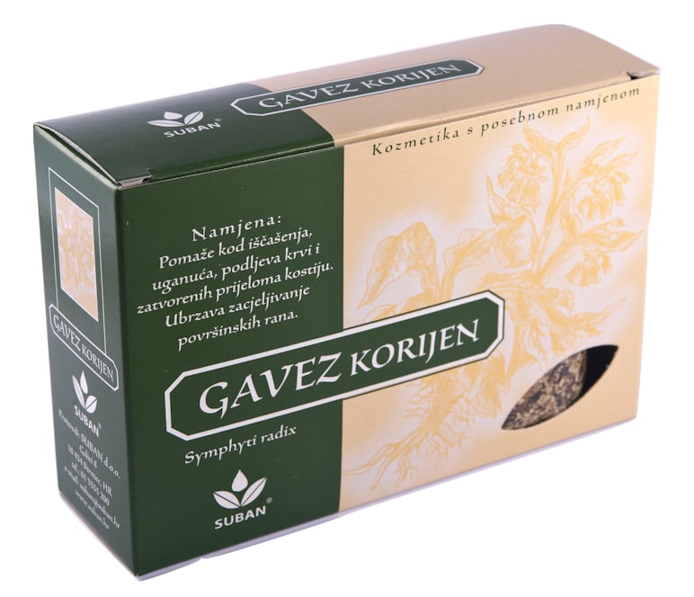 gavez_korijen